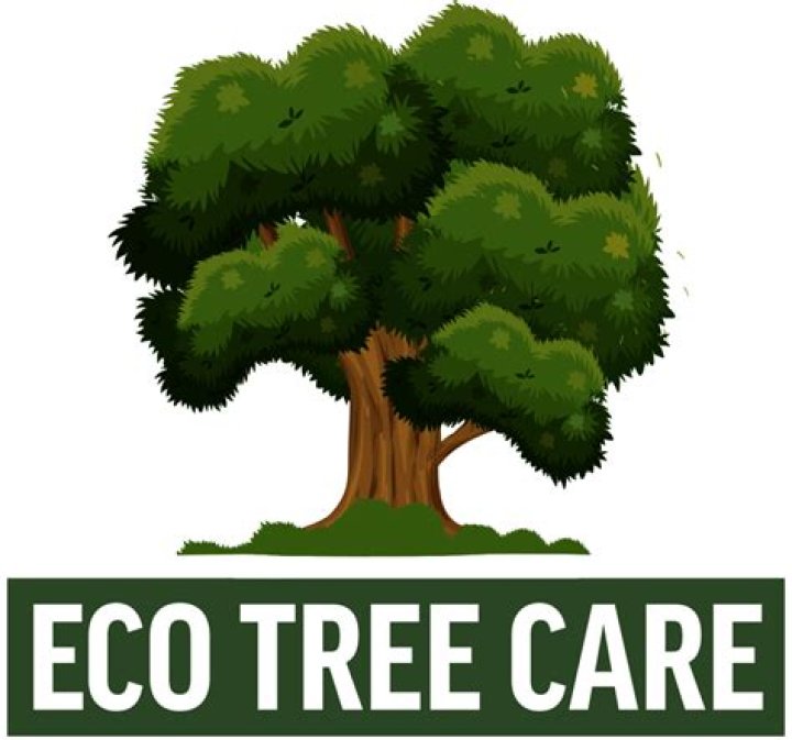 
ECO Tree Care Employee Daniel Vanhyest Death Explained 