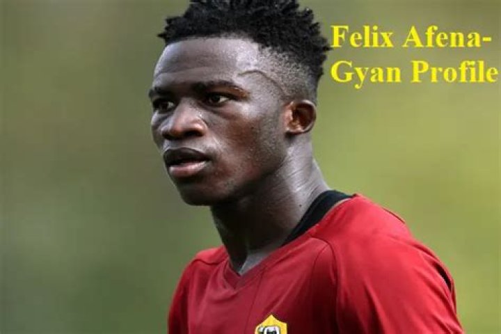 
Felix Afena-Gya Age, Birthday, Wikipedia, Who, Nationality, Biography 