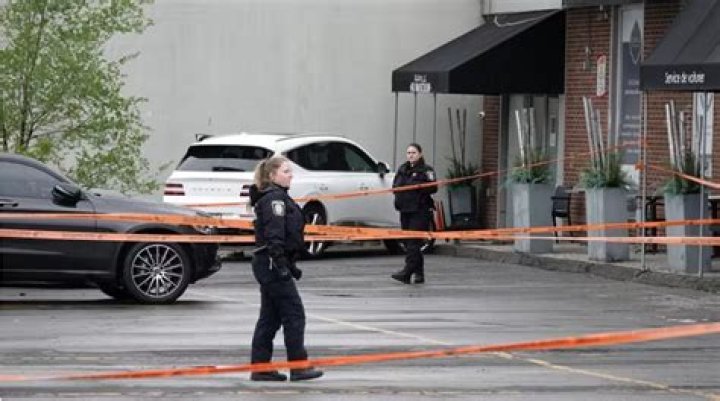 
Lillie Riehl Accident | What Happened | Death Cause And Bio 