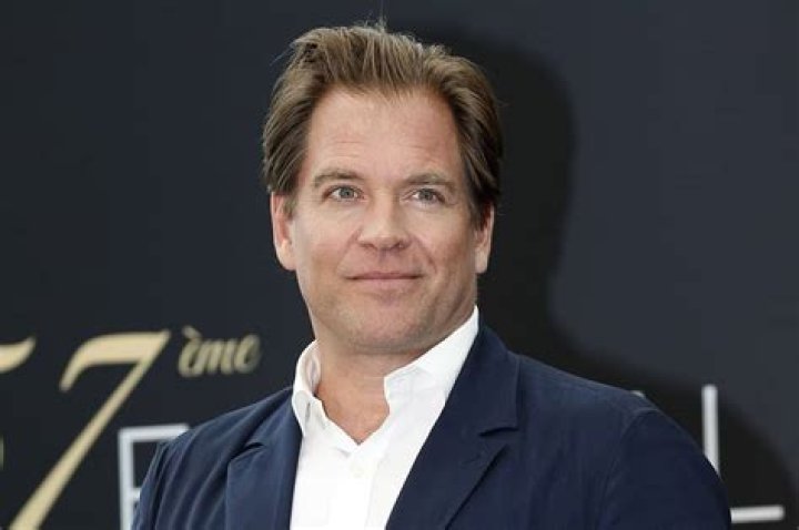 
Michael Weatherly Age, Birthday, Wikipedia, Who, Nationality, Biography 