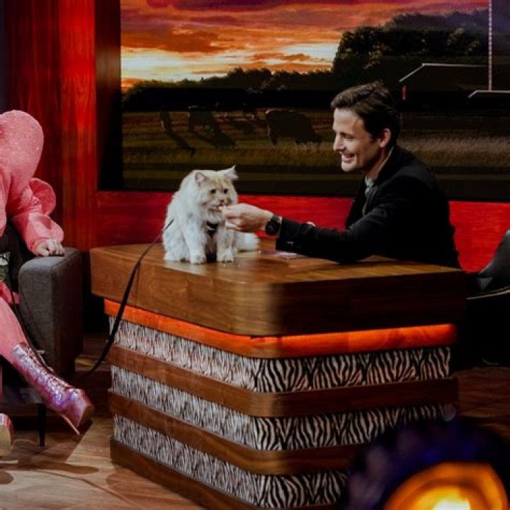 Sebastien Kfoury Height, Weight, Net Worth, Age, Birthday, Wikipedia, Who, Nationality, Biography