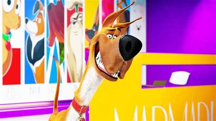 Where Is Felicity Marmaduke’s Baby Now?