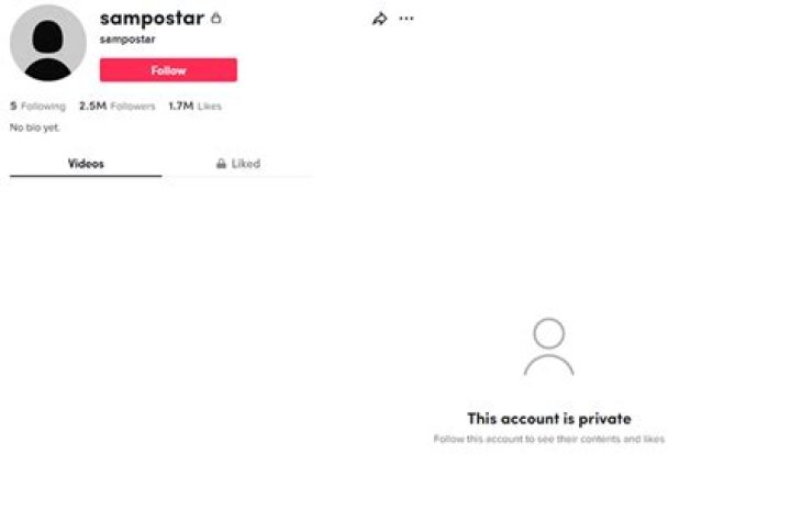 
Who Is Sam Postar TikTok? More On His Age and Real Name 